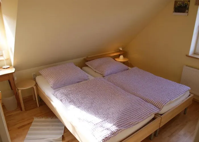 Strandrose * Brasilien